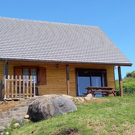 Chalet Sancy Saint-Genès-Champespe Екстериор снимка