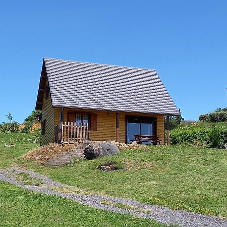 Chalet Sancy Saint-Genès-Champespe Екстериор снимка